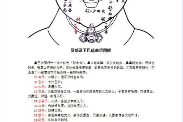痣相含珠：揭秘富贵命格的秘密符号