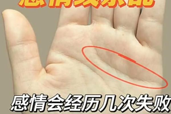 掌上秘密：女性手相掌纹解锁命运密码