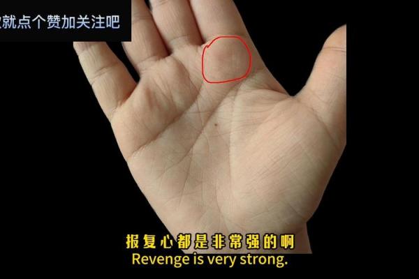 一探究竟！女性手相揭秘性腺秘密！