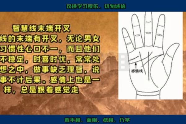 一探究竟！女性手相揭秘性腺秘密！