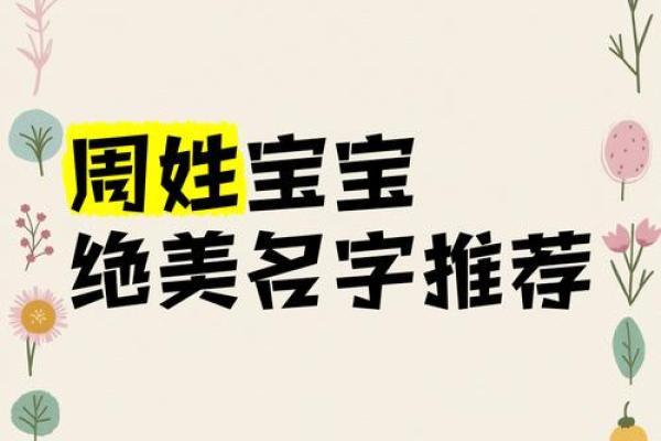 周姓男宝宝取名巧思集