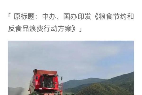 探讨粮食在五行中的归属