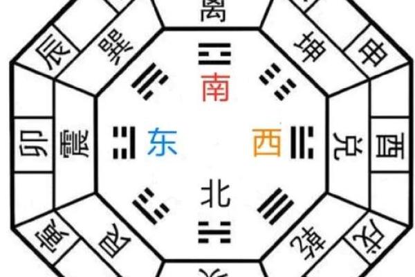 肝胆相照，揭秘地支中的神秘力量