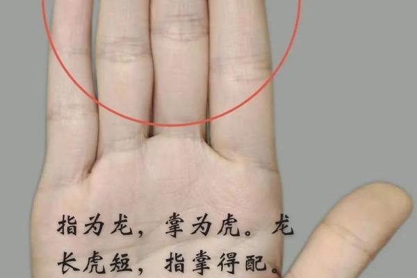 手相M字纹，财运亨通的秘密！