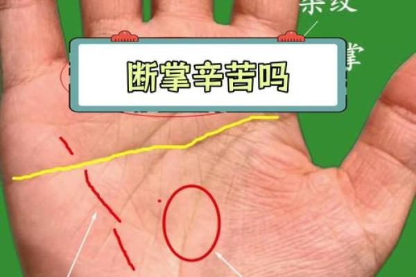 手相断掌纹解析：掌握人生赢家的秘密