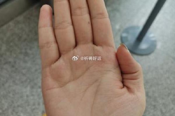 揭秘掌丘饱满的惊人魅力，你也能轻松拥有！