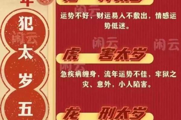 一本读懂辛派命理：开启你的运势之门！