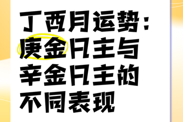 一本读懂辛派命理：开启你的运势之门！