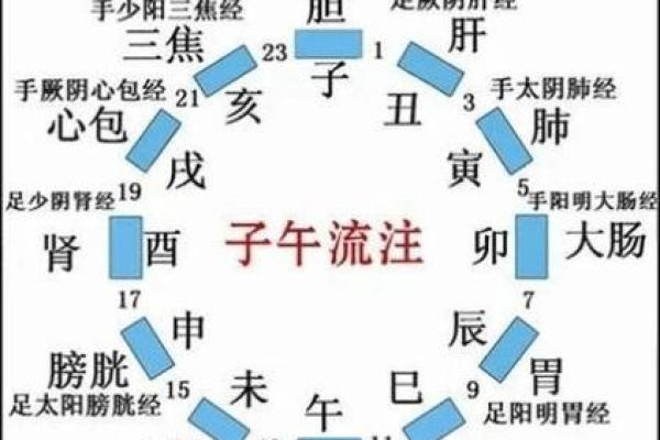 午后阳光，揭秘地支与五行之间的奇妙关系