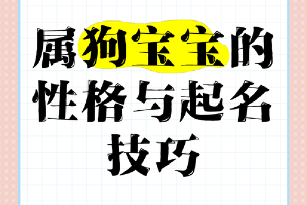 狗年祥瑞，宝气盈门——2018狗宝名字运势大揭秘