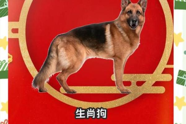 狗年祥瑞，宝气盈门——2018狗宝名字运势大揭秘