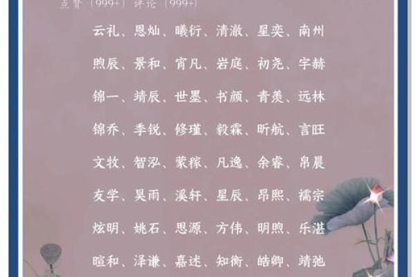 名字魅力：揭秘佳轩背后的文化内涵