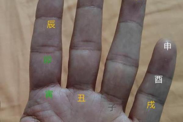 快速掌握天干地支，读写不求人