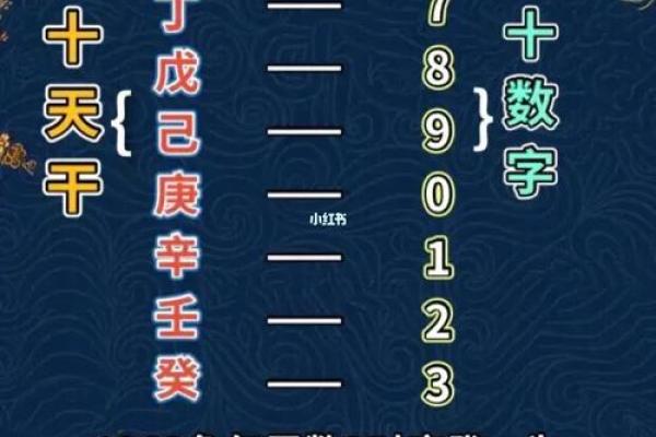 快速掌握天干地支，读写不求人