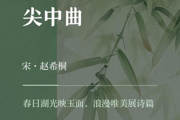 悠扬希音，寓意深远