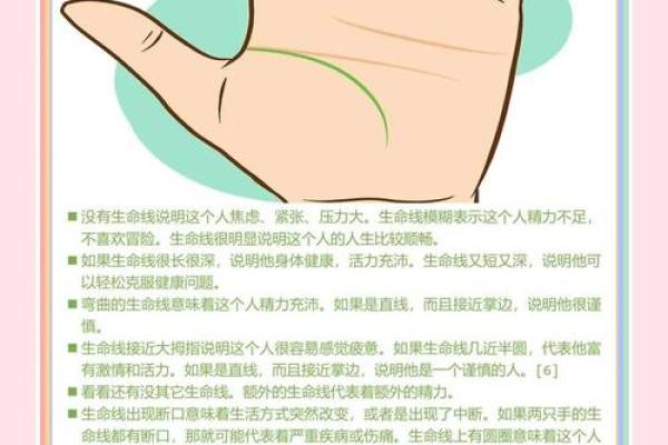 手相解读大揭秘：细纹纹路揭示你的命运轨迹
