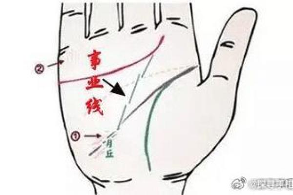 钟汉良手相揭秘：命运线、事业线大解析