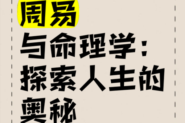 火相人生：探索命理火库中的财富密码