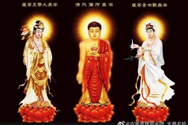 一毛定终身？揭秘脸上黑长毛的命理玄机