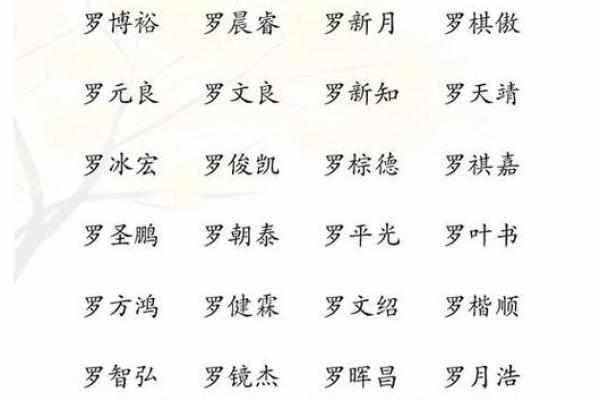 给罗姓男孩起个响亮名字的最佳方法