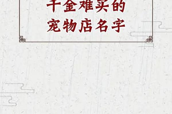 貂宝起名：探寻萌宠昵称的艺术