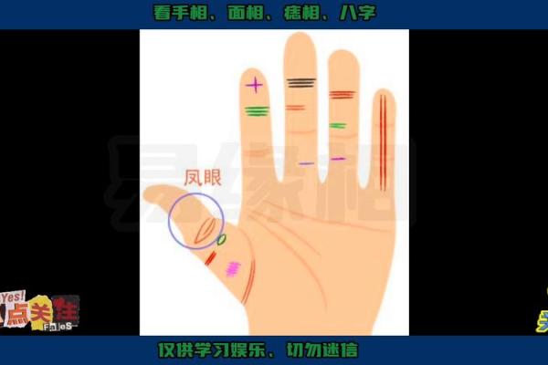 街头手相揭秘：瞬间洞察命运的秘密！