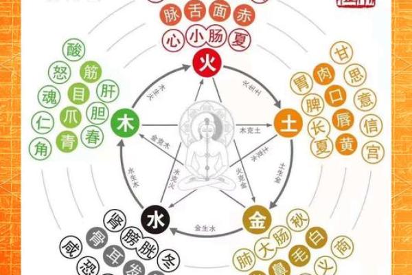 天干地支合化奥秘大公开，五行相融的神奇力量