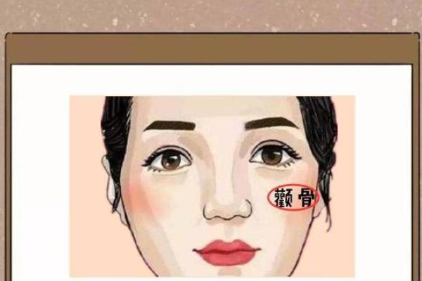 面相解析：颧骨痦子面相揭示财运与事业运势