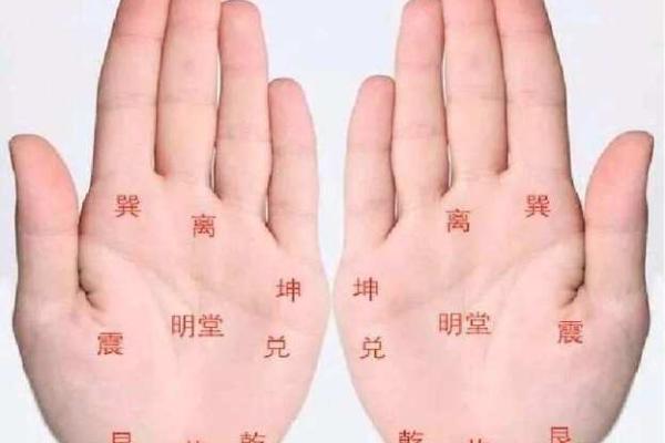手势解码：男性手型手相的爆款解读手册