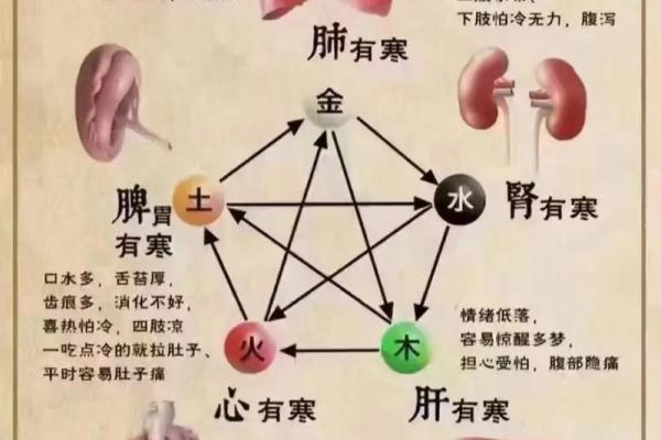 五行与性格特征的关系
