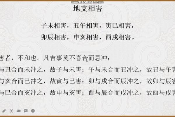 命理揭秘：地支相害对人生的五大影响