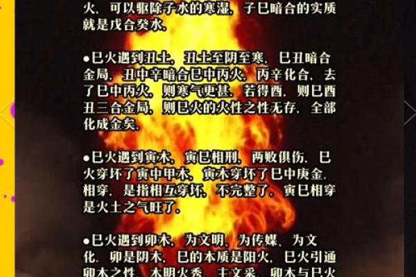 生辰八字全阳的命运特征