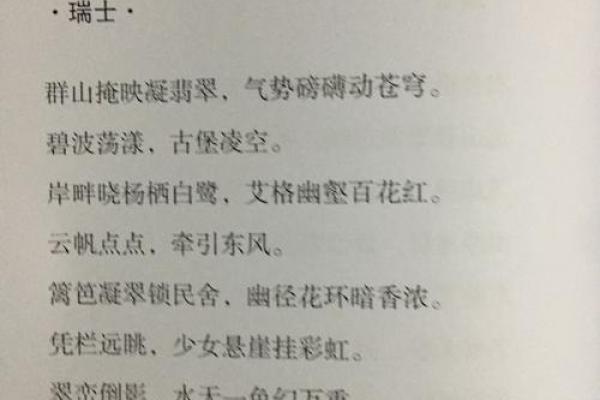 悠然美酒映姓名，醉舞芳华