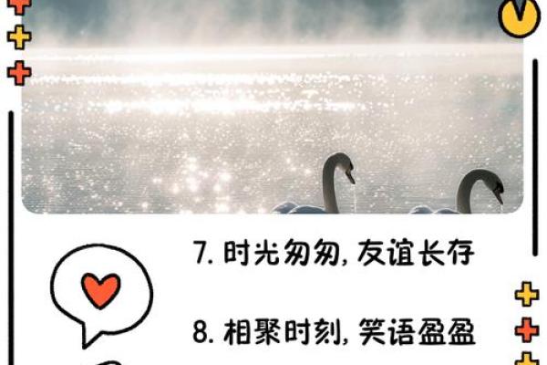 永恒的情谊：揭示最打动人心的友情称谓