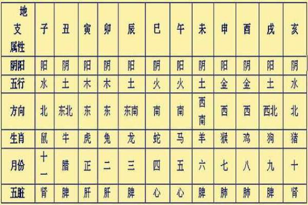 十二地支大揭秘：你的运势密码在这里