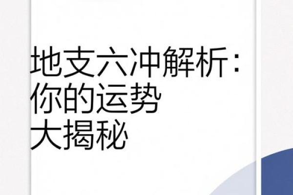 十二地支大揭秘：你的运势密码在这里