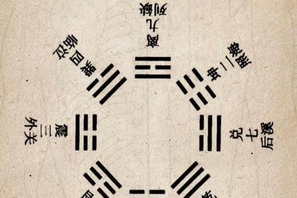 虎啸山林，揭秘地支透出的人脉拓展之道