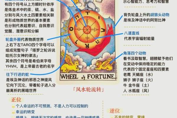 命运解码：地支占卜带你洞察人生奥秘