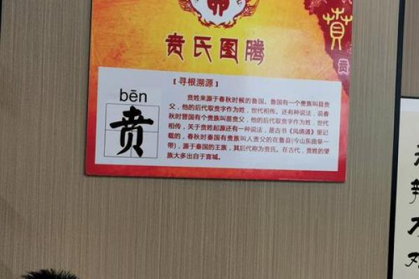 从五行角度解读面馆的独特魅力