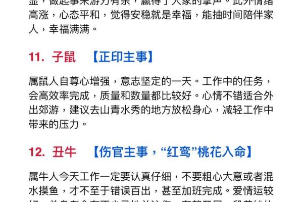 东曙之辉：财运亨通，前程似锦的姓名运势解析