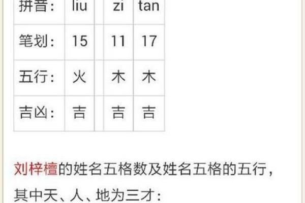 探索中国名字库：如何挑选富有意义的姓名