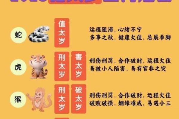 正官星显，女性命格中的完美官途