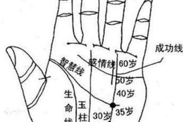 疤痕手相揭秘：命运转折的神秘符号
