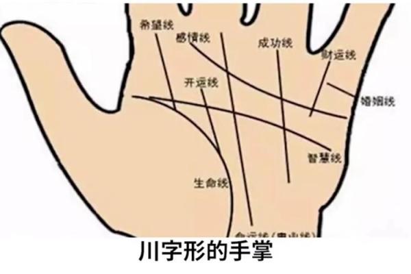 手相揭秘：命运等级大揭秘！
