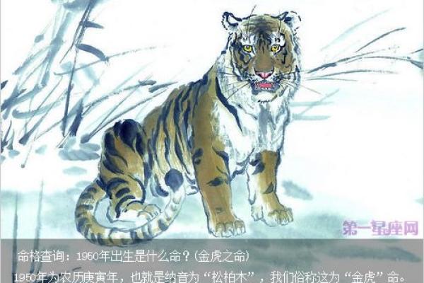 咖名趣谈：揭秘名字背后的含义与故亿
