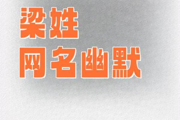 梁宝宝，寓意美好的名字灵感