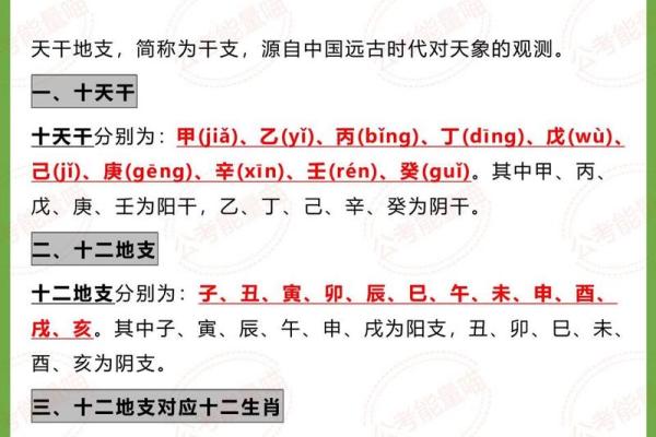十二生肖大揭秘：月令地支透出的天机玄妙