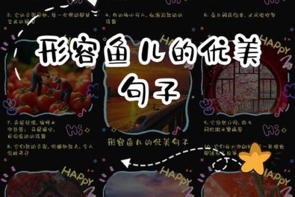 名字的艺术：鱼类命名技巧，让你的鱼儿名字更具个性魅势