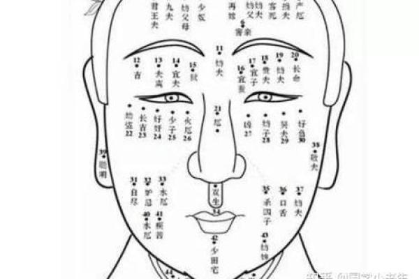 红鼻福星：面相中的吉祥之兆