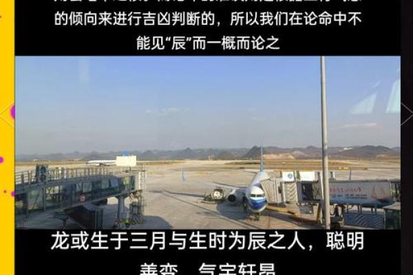 探索龙的五行与命运的关联